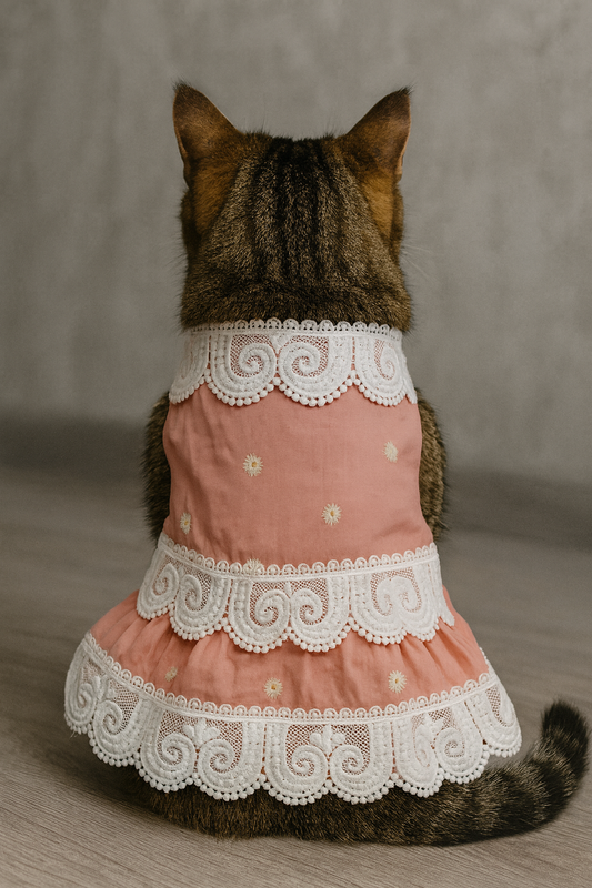 Peach Princess Cat Dress