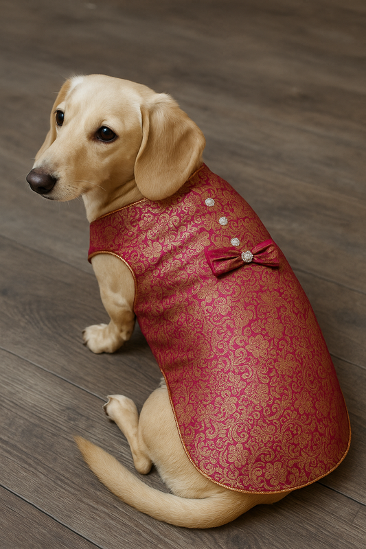 Red Royal Dog Kurta