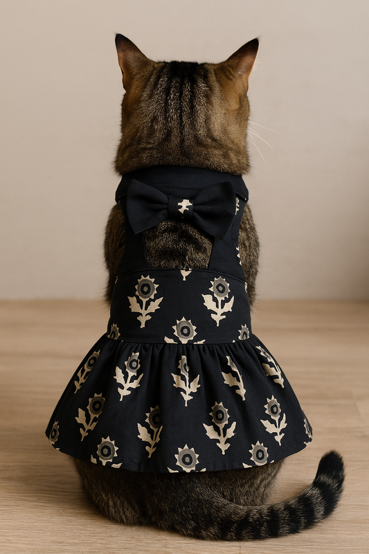Black Bow Cat Dress