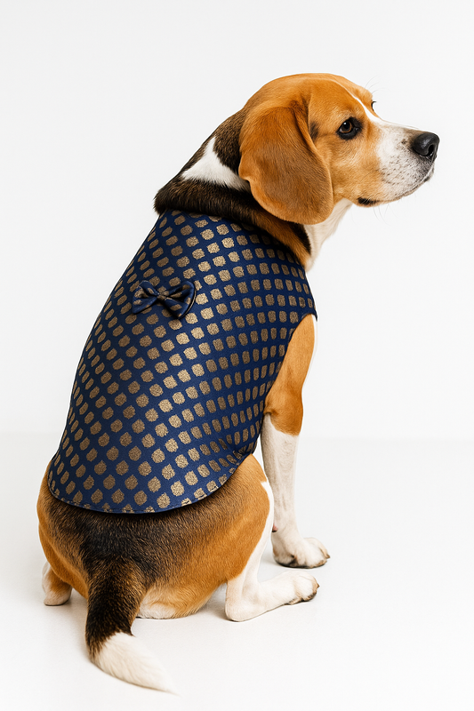Navy Blue Ethnic Dog Kurta