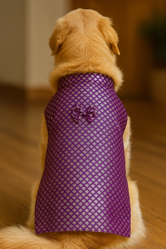 Purple Diamond Dog Kurta