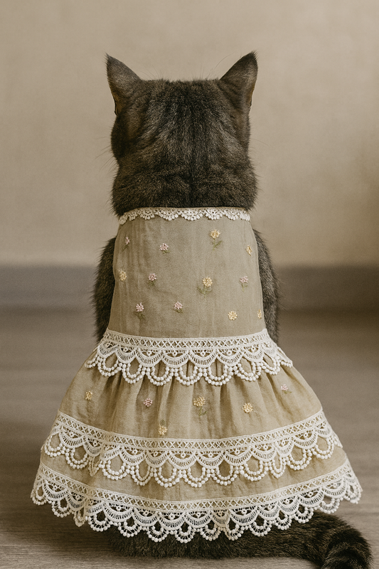 Beige Lace Cat Dress