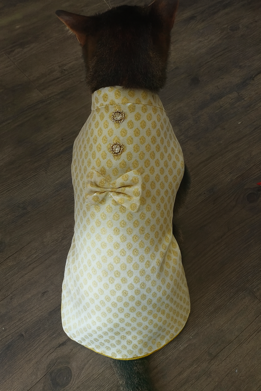 Golden Bow Cat Kurta