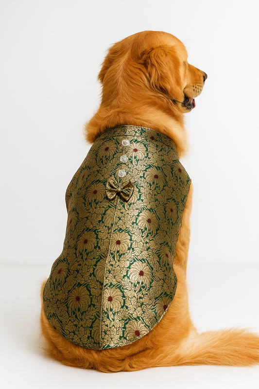 Golden Festive Dog Kurta